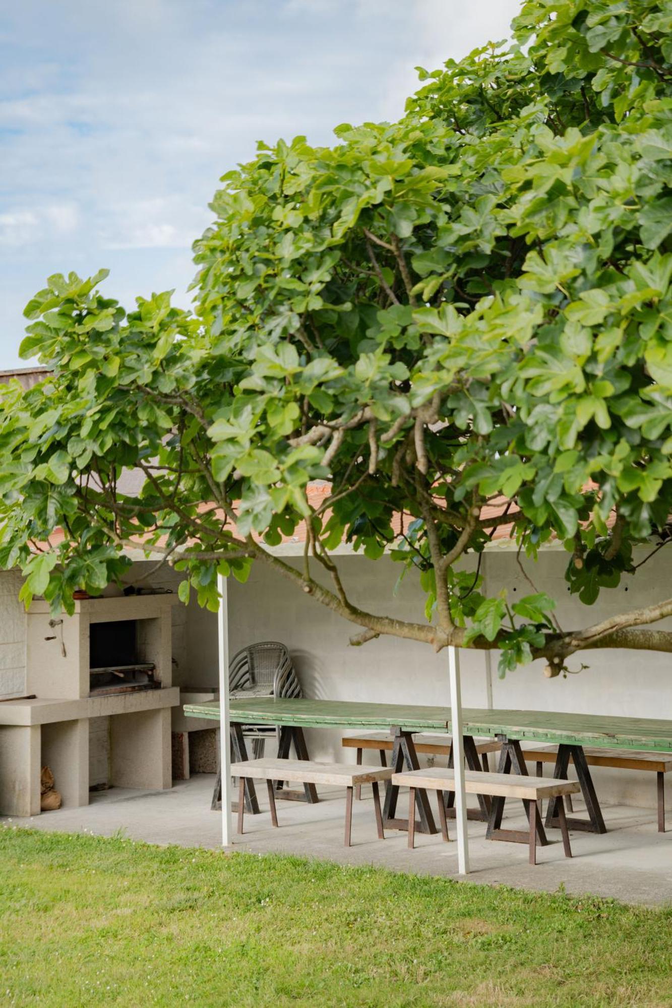 Chalet Areo Do Rio - Playa De Razo Екстер'єр фото